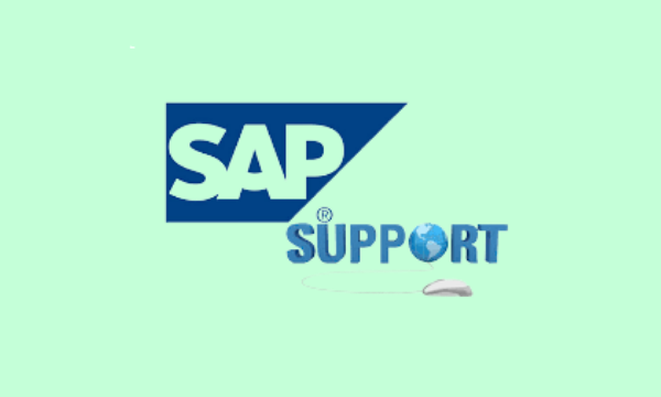 SAP Support Companies